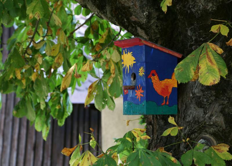 Buntbemaltes Vogelhaus hängt in Baum.